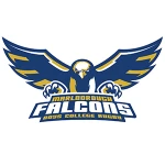 Falcons logo   300x300